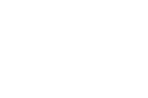 Vital Aminos